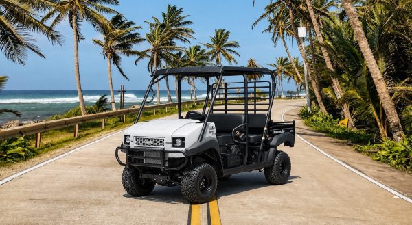 Mula Kawasaki 4010 para 4 personas