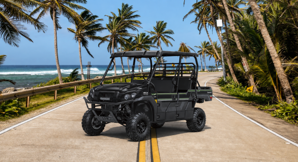 Mula Yamaha Viking para 6 personas